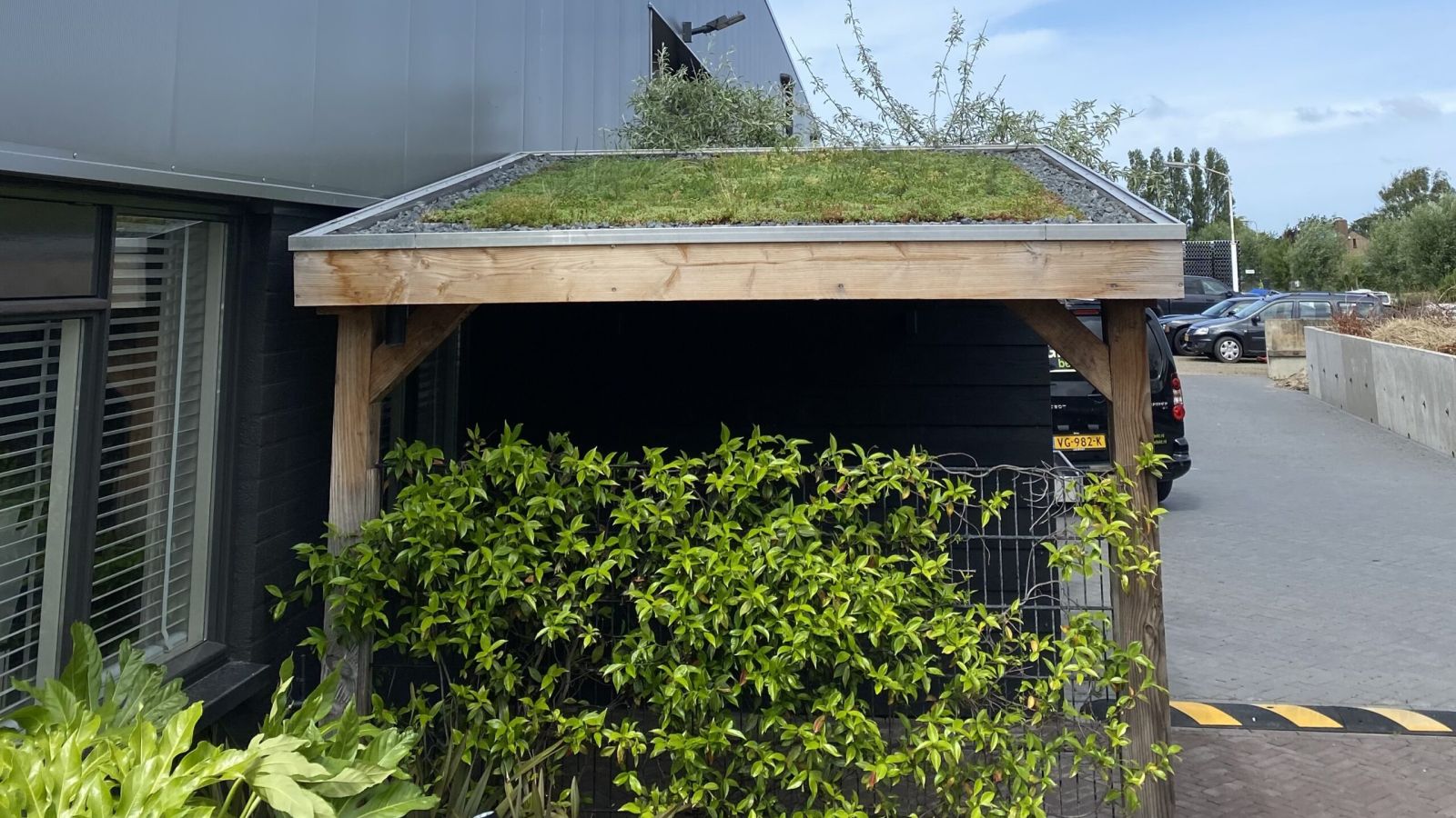 Fietsen schuur met groen dak